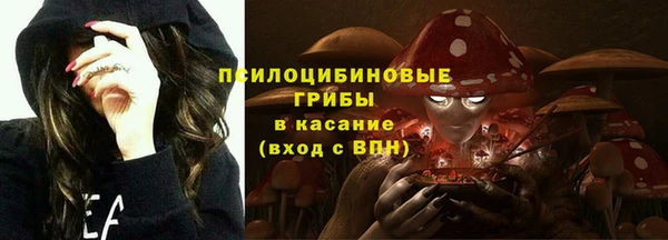 стаф Алексеевка