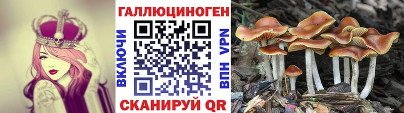 Галлюциногенные грибы мицелий  площадка клад  Староминская 